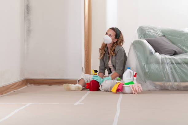 Reliable Mold Remediation contractor in Skokie, IL by WQB Mold Removal